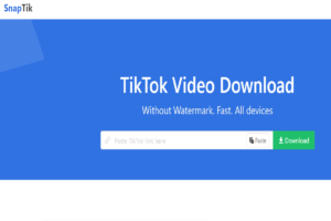 SnapTik: Download TikTok Videos Without The Watermark